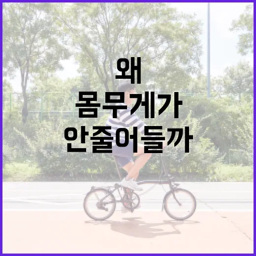 다이어트, 왜 열심히 해도 몸무게가 잘 안 줄어들까요? - 요약