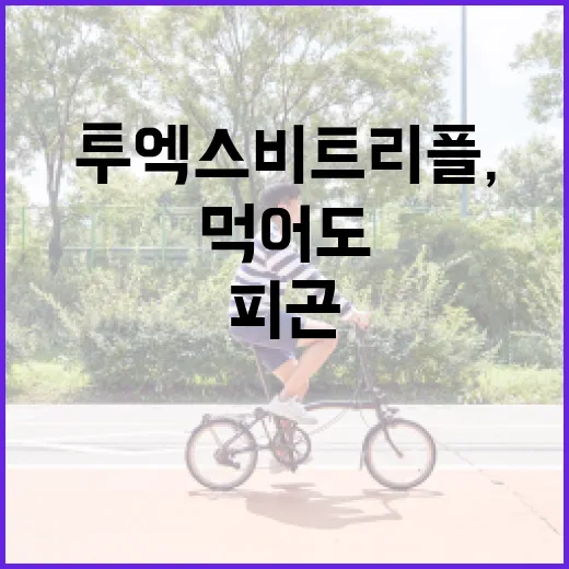 투엑스비 트리플, 피곤할 때 그냥 먹어도 괜찮을까요? - 요약