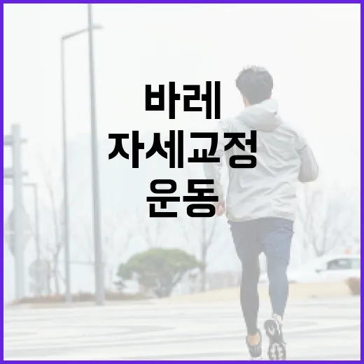 바레운동, 관절 부담은 적고 자세 교정에는 정말 괜찮을까요? - 요약