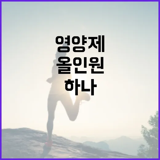 올인원영양제 하나로 충분할까요? 고르기 전에 확인할 점은 무엇일까요? - 요약