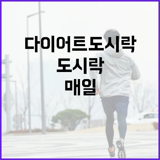 다이어트도시락, 매일 먹어도 괜찮은 구성이 궁금하신가요? - 요약