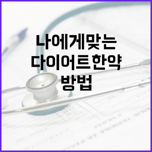 다이어트한약, 정말 나에게 맞는 방법일까요? - 요약