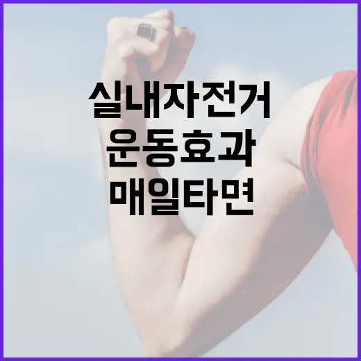 실내자전거, 매일 타면 정말 운동 효과가 있을까요? - 요약