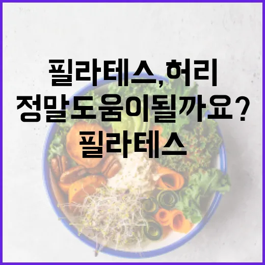 필라테스, 허리와 자세에 정말 도움이 될까요? - 요약