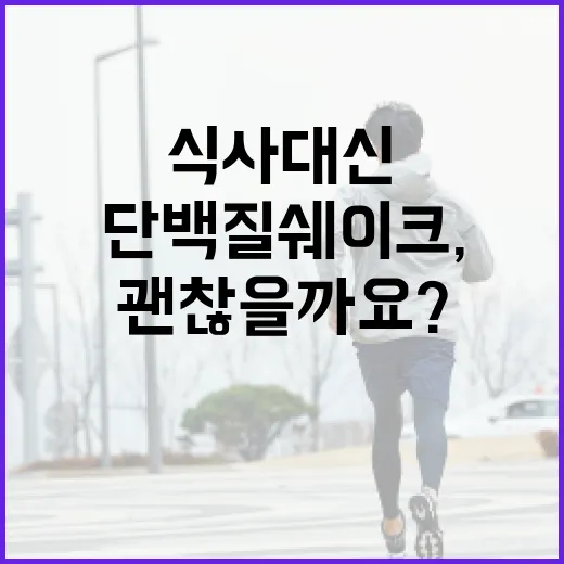 단백질쉐이크, 식사 대신 마셔도 괜찮을까요? - 요약