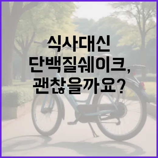 단백질쉐이크, 식사 대신 마셔도 괜찮을까요? - 요약