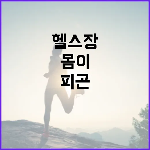 헬스장 다니는데 몸이 더 피곤한가요? 처음 운동할 때 꼭 챙길 기준은요 - 요약