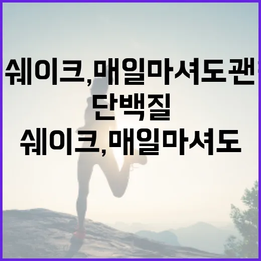 단백질쉐이크, 매일 마셔도 괜찮을까요? - 요약