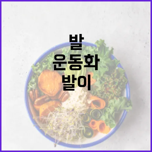 운동화, 발이 편하면 다 괜찮은 걸까요? - 요약