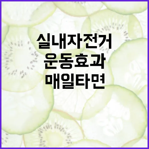 실내자전거, 매일 타면 정말 운동 효과가 있을까요? - 요약