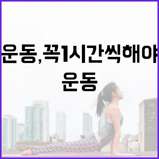 운동, 꼭 1시간씩 해야 효과가 있을까요? - 요약