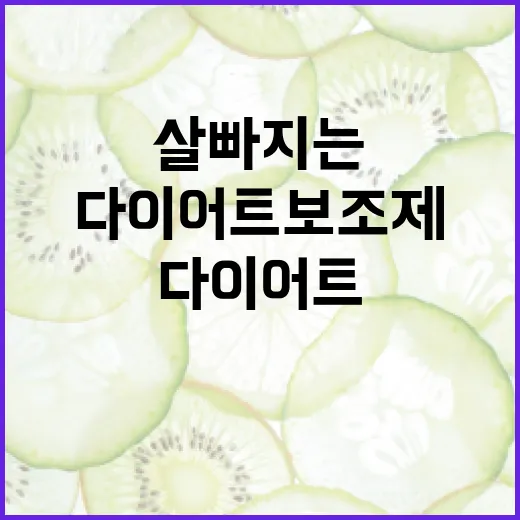 다이어트보조제, 정말 살 빠지는 데 필요할까요? - 요약