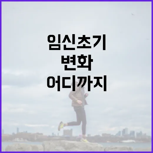 임신 초기, 몸의 변화가 어디까지 자연스러운 걸까요? - 요약