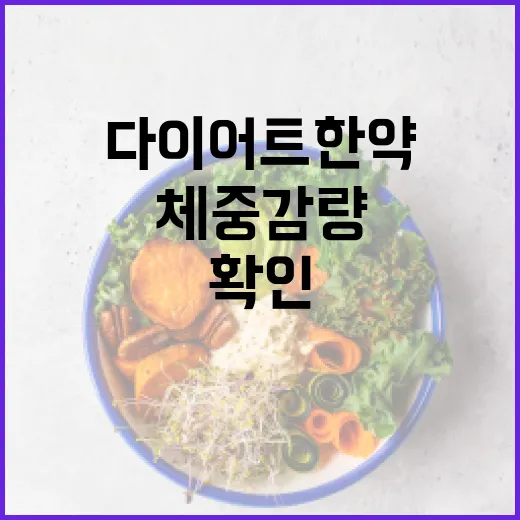 다이어트한약, 체중 감량 전에 꼭 확인하고 계신가요? - 요약