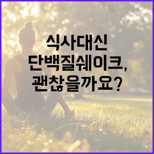 단백질쉐이크, 식사 대신 마셔도 괜찮을까요? - 요약
