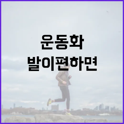 운동화, 발이 편하면 아무거나 신고 계신가요? - 요약