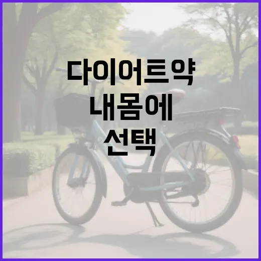 다이어트약, 내 몸에는 정말 필요한 선택일까요? - 요약