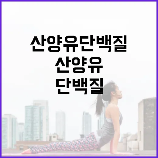 산양유단백질, 우유보다 속이 편하다는 말이 정말일까요? - 요약