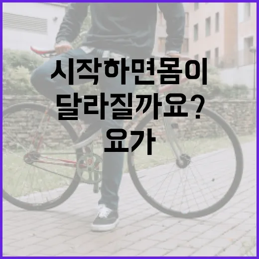 요가를 시작하면 몸이 정말 달라질까요? - 요약