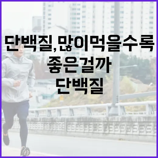 단백질, 많이 먹을수록 몸에 좋은 걸까요? - 요약