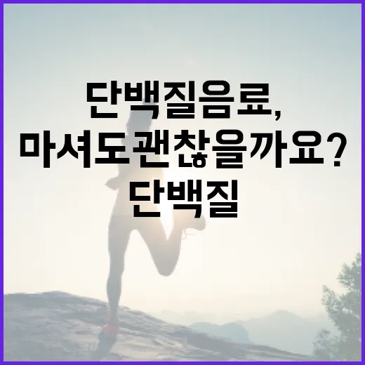 단백질음료, 매일 마셔도 괜찮을까요? - 요약