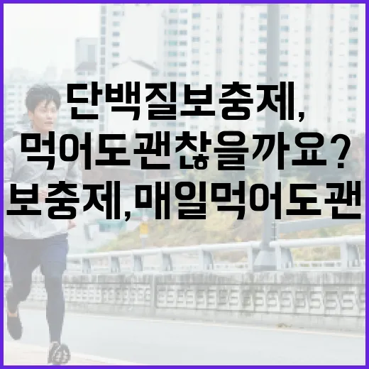 단백질보충제, 매일 먹어도 괜찮을까요? - 요약