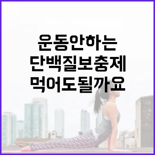 단백질보충제, 운동 안 하는 사람도 먹어도 될까요? - 요약