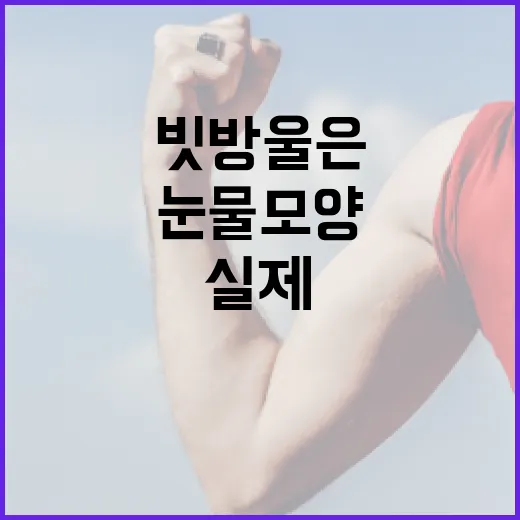 빗방울은 정말 눈물모양일까요? 우리가 떠올리는 물방울과 실제 비의 모양 - 요약