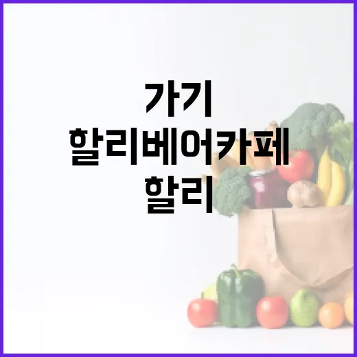할리베어카페 가기 전, 달달한 메뉴와 카페인 섭취가 걱정되시나요? - 요약
