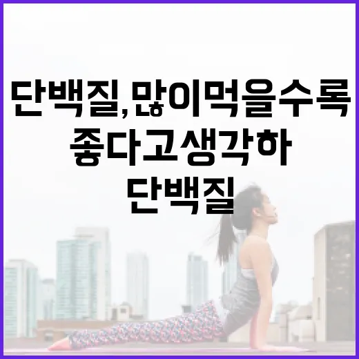 단백질, 많이 먹을수록 몸에 좋다고 생각하고 계신가요? - 요약
