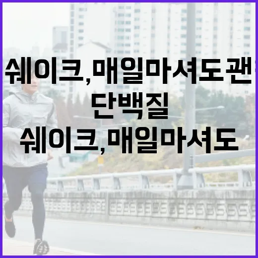 단백질쉐이크, 매일 마셔도 괜찮을까요? - 요약