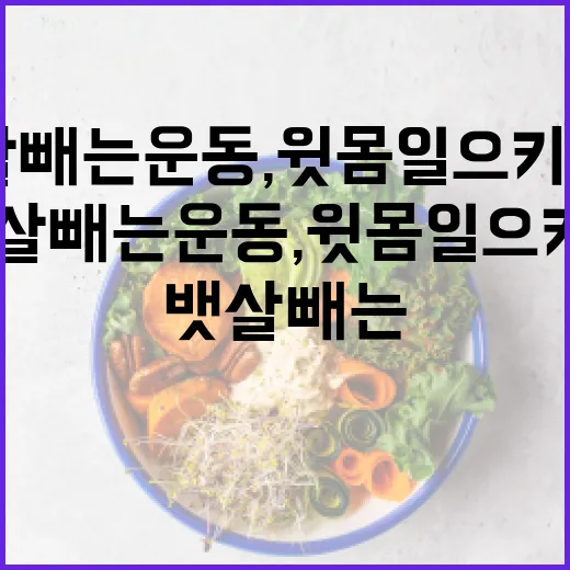 뱃살빼는운동, 윗몸일으키기만 계속하고 계신가요? - 요약