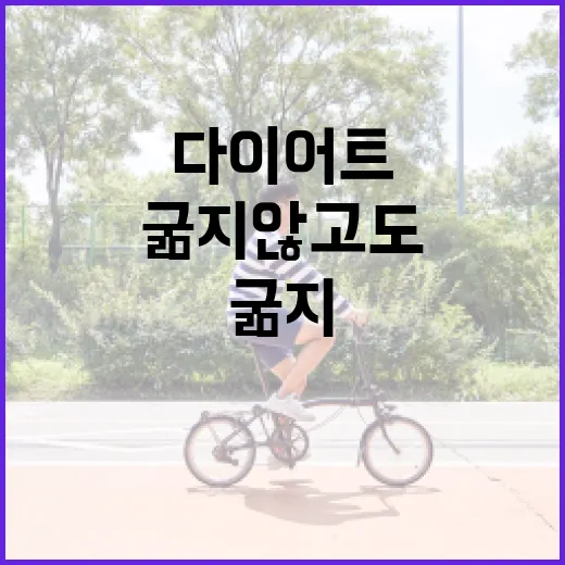 다이어트, 굶지 않고도 오래 갈 수 있을까요? - 요약