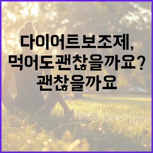 다이어트보조제, 정말 먹어도 괜찮을까요? - 요약