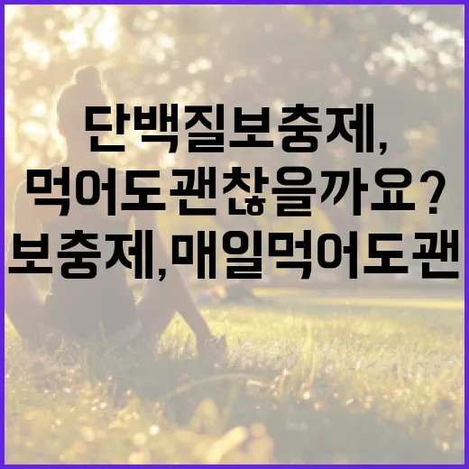 단백질보충제, 매일 먹어도 괜찮을까요? - 요약