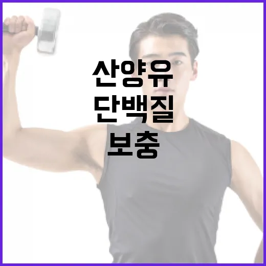 산양유단백질, 부모님 영양 보충으로 괜찮을까요? - 요약