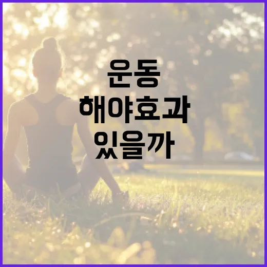 운동, 매일 해야 효과가 있을까요? 내 몸에 맞는 기준이 궁금하신가요? - 요약