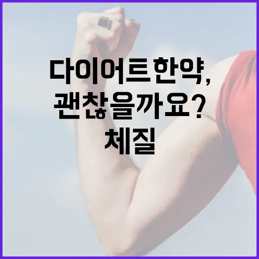다이어트한약, 체질에 맞으면 정말 괜찮을까요? - 요약