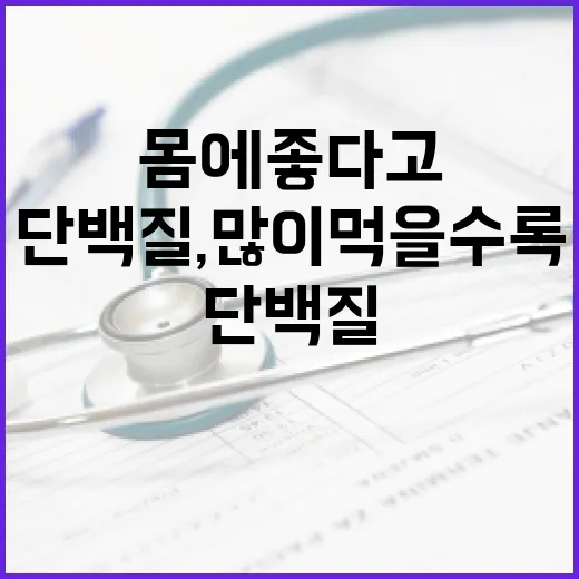 단백질, 많이 먹을수록 몸에 좋다고 믿고 계신가요? - 요약