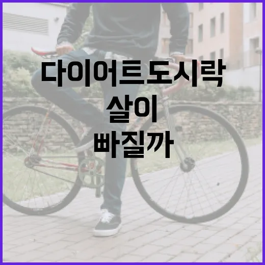 다이어트도시락, 매일 먹으면 정말 살이 빠질까요? - 요약