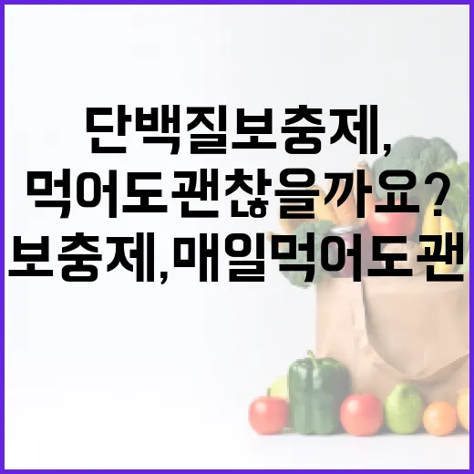 단백질보충제, 매일 먹어도 괜찮을까요? - 요약
