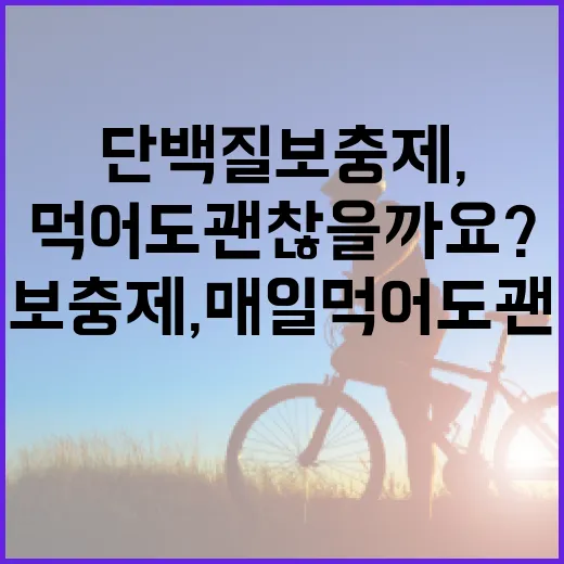 단백질보충제, 매일 먹어도 괜찮을까요? - 요약