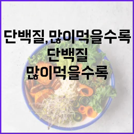 단백질, 많이 먹을수록 몸에 좋다고 느끼고 계신가요? - 요약