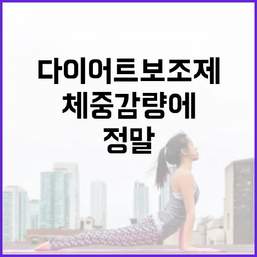 다이어트보조제, 정말 체중 감량에 도움이 될까요? - 요약