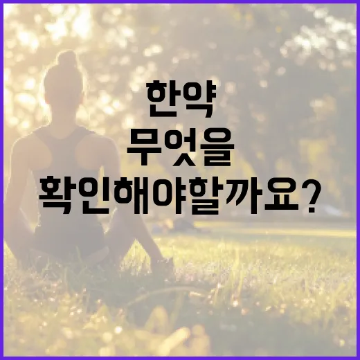 다이어트한약, 먹기 전에 무엇을 꼭 확인해야 할까요? - 요약