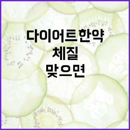 다이어트한약, 체질에 맞으면 정말 안전할까요? - 요약