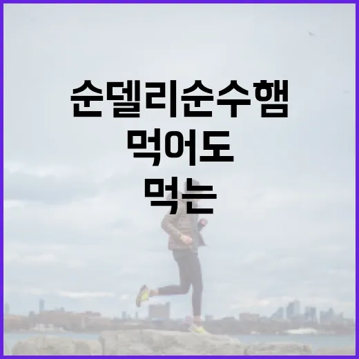 순델리순수햄, 가볍게 먹는 햄이라면 매일 먹어도 괜찮을까요? - 요약
