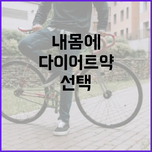 다이어트약, 내 몸에도 맞는 선택일까요? - 요약