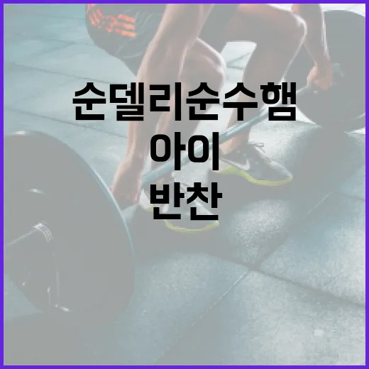 순델리순수햄, 아이 반찬으로 자주 올려도 괜찮을까요? - 요약