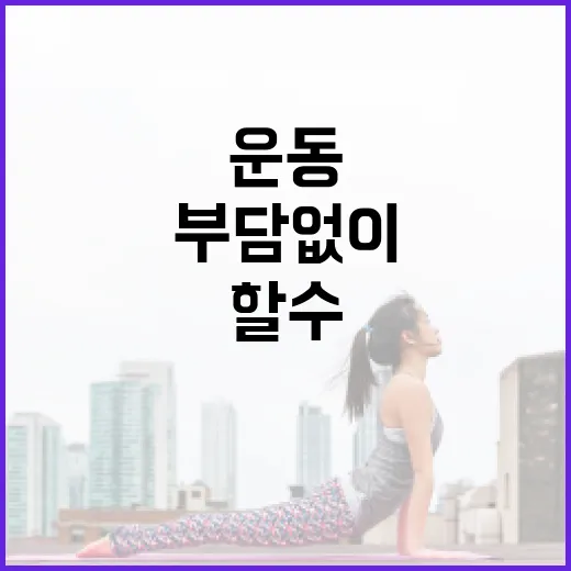 운동, 얼마나 해야 몸에 부담 없이 꾸준히 할 수 있을까요? - 요약